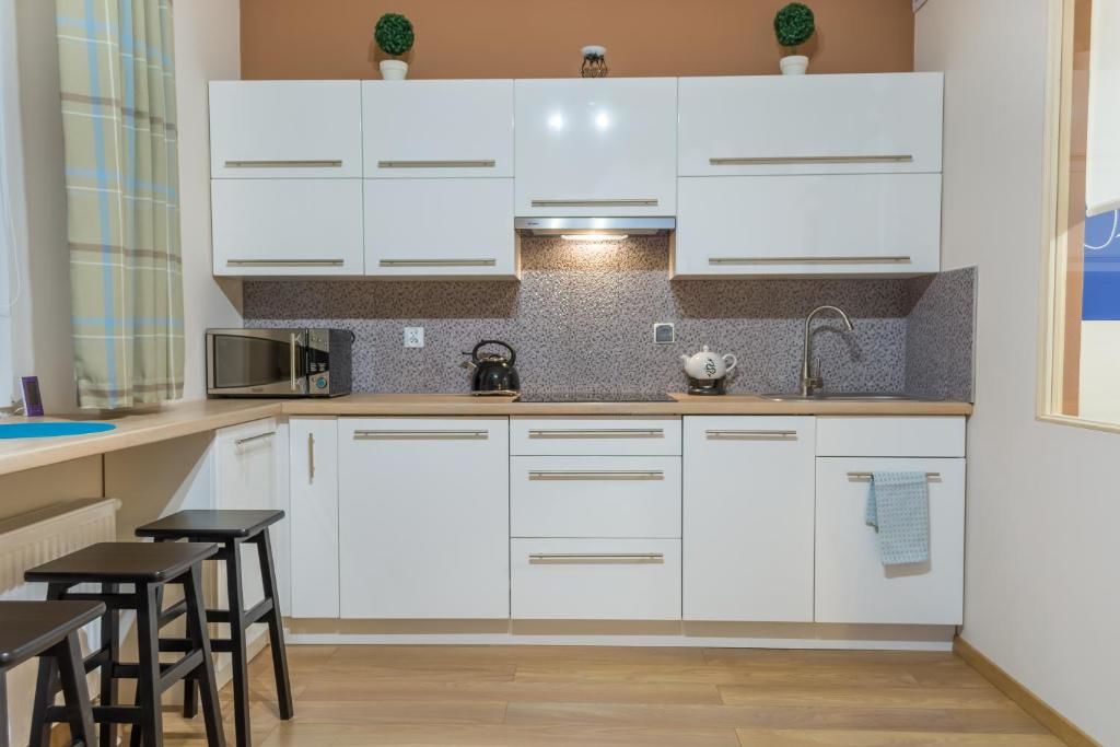 Апартаменты Apartament Wygodny Устшики-Дольне-29